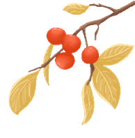 �����к�����Ӣ���׶�԰(־��԰)